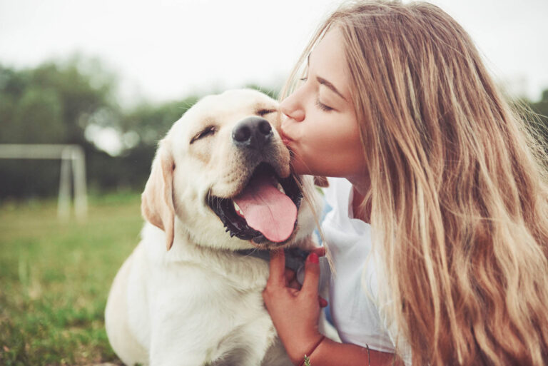 From Pampering to Practicality: Segmenting Today’s Pet Textile Shoppers ...