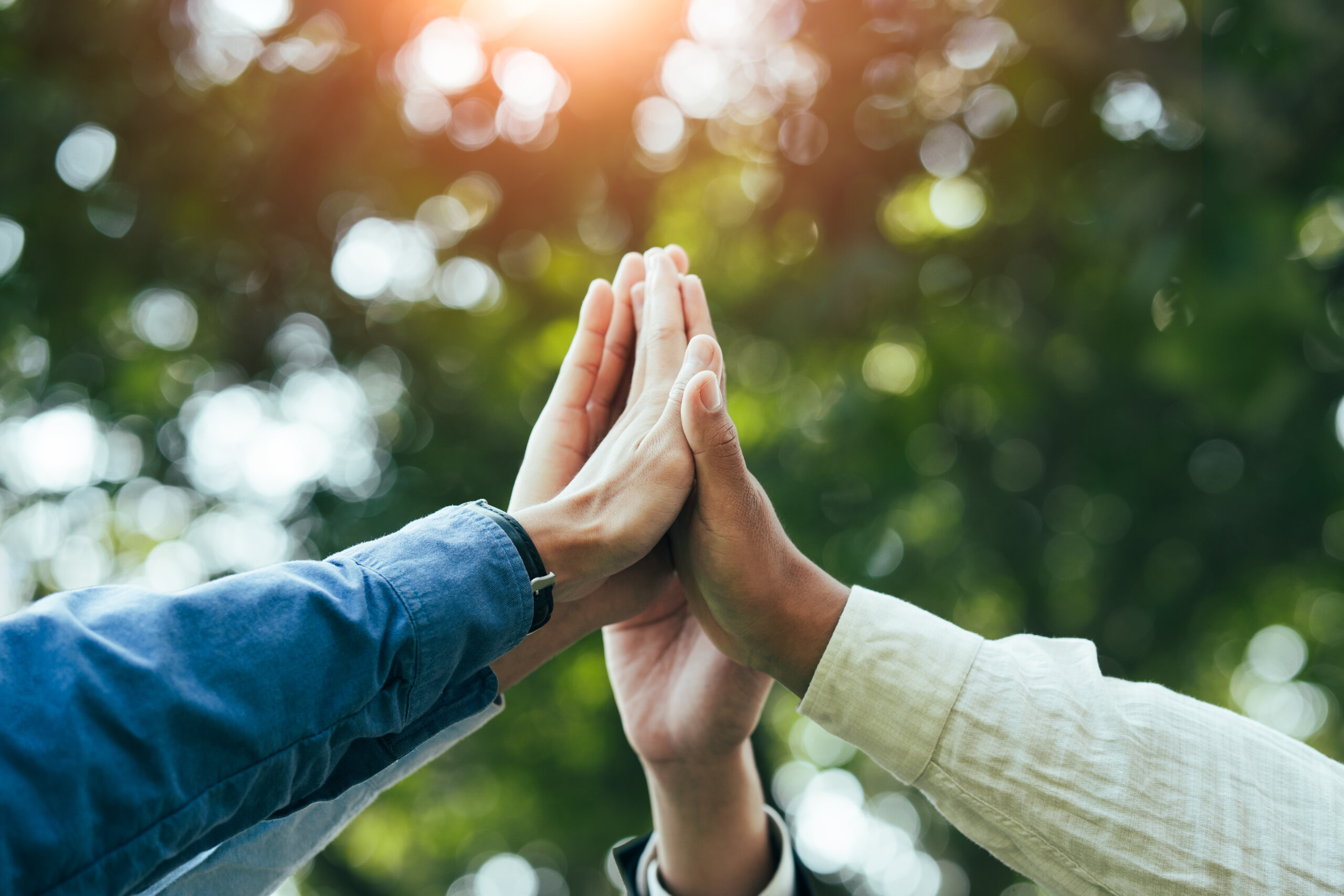 Belonging Can Influence Whether Wellness Fits Into Everyday Life